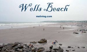 Wells Beach 