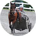 Maine Race Track Horse Racing