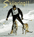 Maine Skijoring