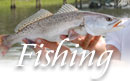 Maine fishing charters