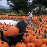 Pumpkin Patch Trolley Weekend